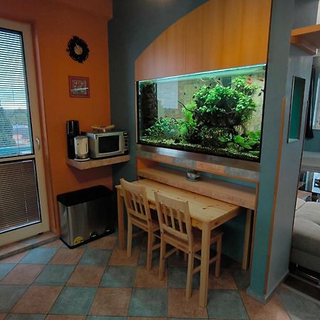 Suk Apartman 24 수흐돌 나트 루주니치 외부 사진